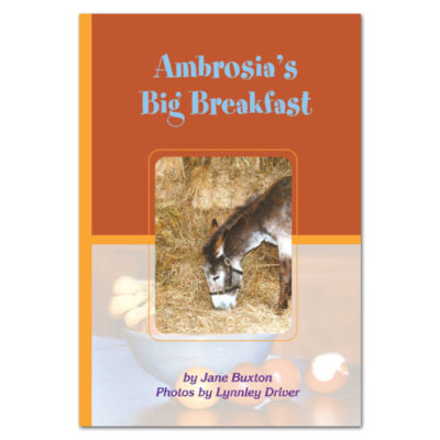 Ambrosia's Big Breakfast book by Jane Buxton