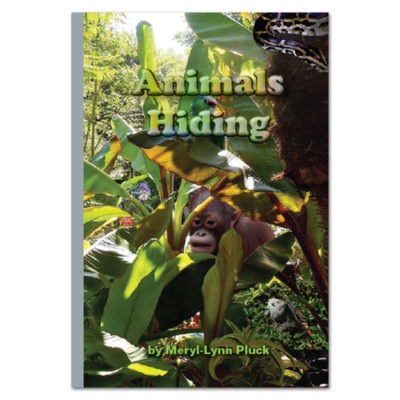 Animals Hiding book by Meryl-Lynn Pluck