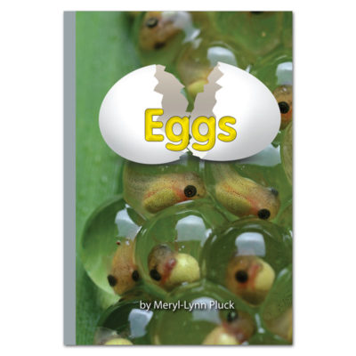 Eggs book by Meryl-Lynn Pluck