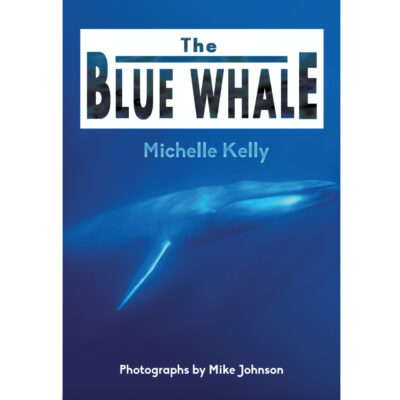 The Blue Whale book by Michelle Kelly